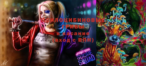 кокс Армянск