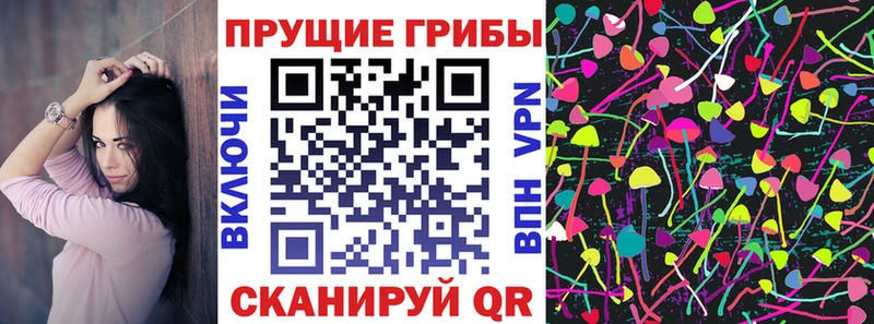 Галлюциногенные грибы мухоморы  наркотики  Звенигово 